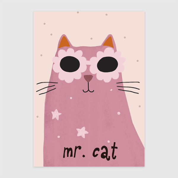 Mister Cicó