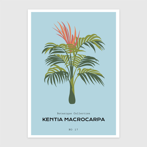 Macrocarpa
