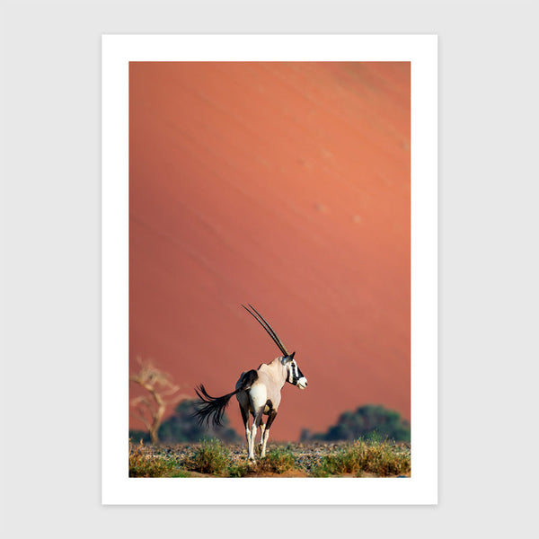 Oryx I