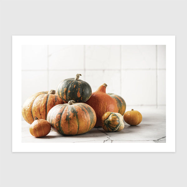 Őszi dekoráció mini tökökkel, fehér háttér